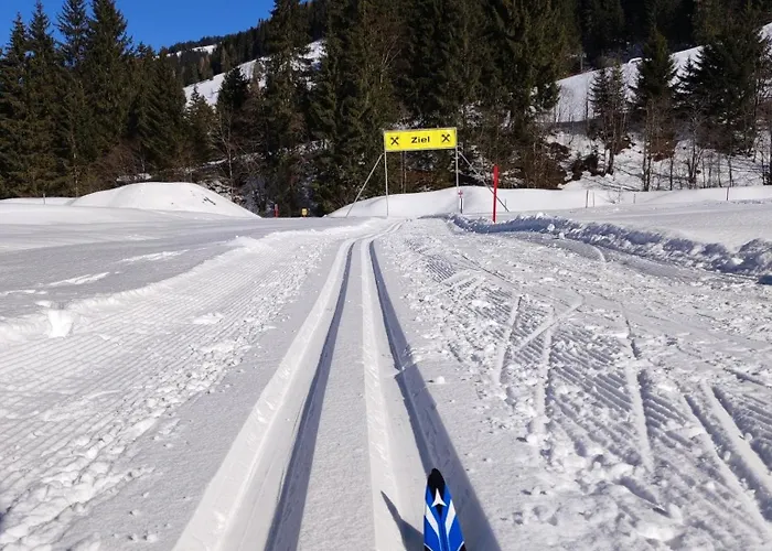 Bis 12 Personen By Fewo-planwild447 *